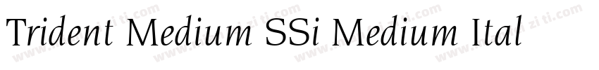 Trident Medium SSi Medium Italic字体转换